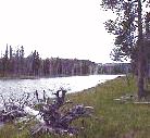 Firehole river 2