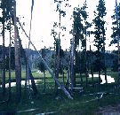 Firehole river 4