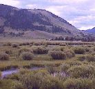 View of Jackson from Information Center