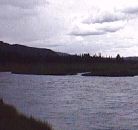 Madison river