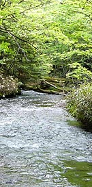 Upstream Yugawa River