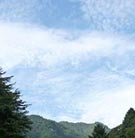 Tenkara Fishing in Kanzakigawa River