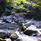 Tenkara Fishing in Shibukawa River