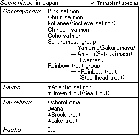 salmoninae in japan