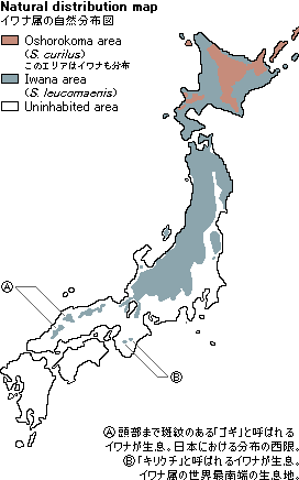 distribution map