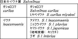 Salvelinus in japan