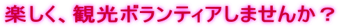 �y�����A�ό��{�����e�B�A���܂��񂩁H