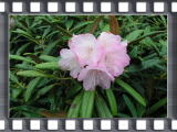 jR̃VNiQ
