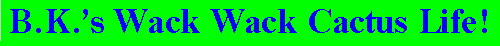 B.K.'s Wack Wack Cactus Life!  Please come on in!