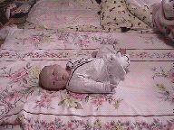 �ʐ^�͗L��܂���