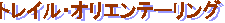 �g���C���E�I���G���e�[�����O
