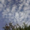 ウロコ雲