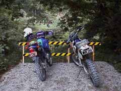 �s���~�܂�