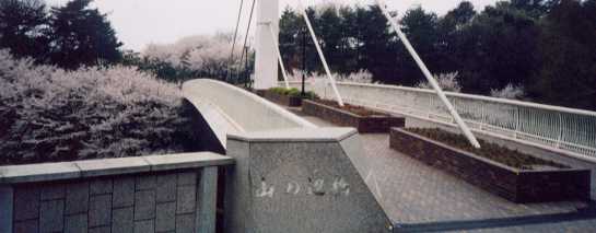 ��N�J�����̍�