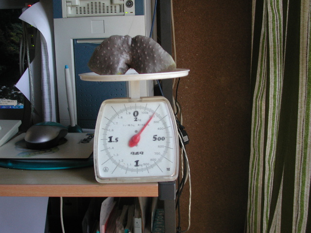 pict0002.jpg