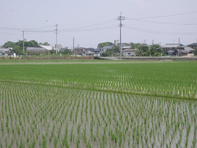 pict0000.jpg