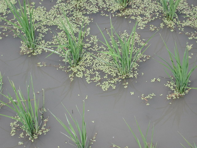 pict0001.jpg
