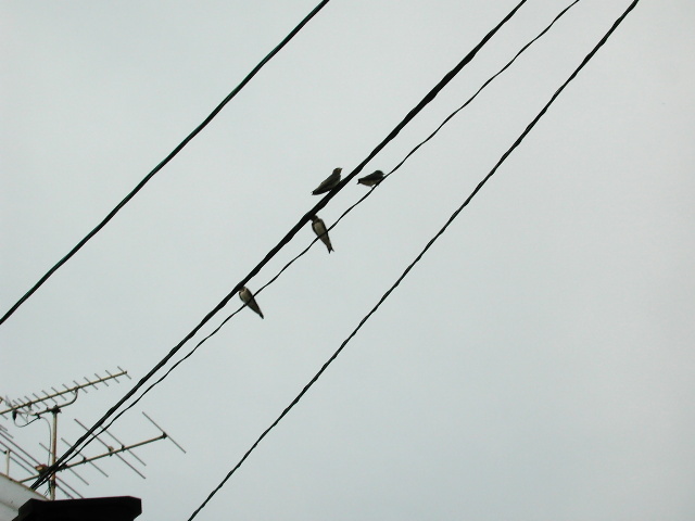 pict0005.jpg