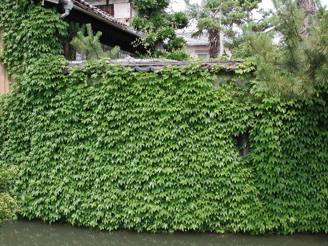 pict0009.jpg