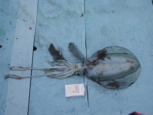 pict0002.jpg
