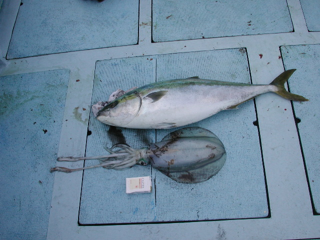 pict0003.jpg