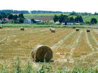 biei6DSCN0040.JPG (46588 oCg)