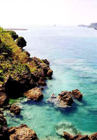 2002.7okinawa0009.JPG (96739 oCg)