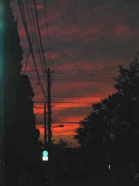 20021112DSCN0014.jpg (41704 oCg)
