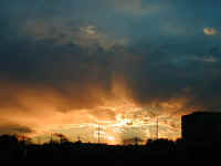 20021126DSCN0018.jpg (46110 oCg)