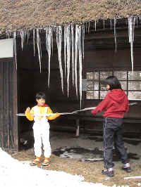 200302DSC00069.jpg (91084 oCg)