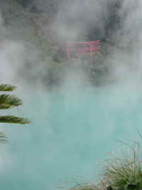 20031013DSCN0026.jpg (48230 oCg)