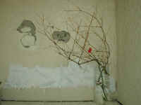 20040120DSCN0010.jpg (85903 oCg)