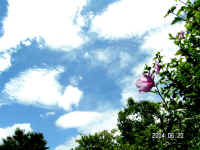 20040620PICT0004.jpg (162107 oCg)