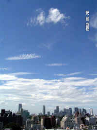 20040620PICT0033.jpg (72820 oCg)