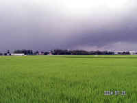 20040801PICT0014.jpg (122190 oCg)