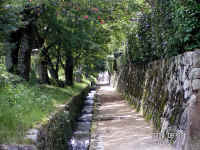 20040805PICT0035.jpg (228781 oCg)