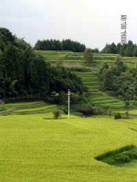 20040805PICT0064.jpg (101506 oCg)