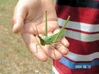 20040812PICT0097.jpg (115043 oCg)