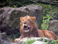 20040813PICT0112.jpg (180818 oCg)