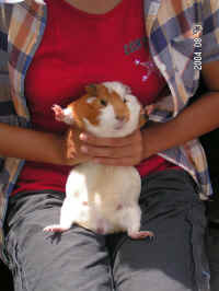 20040813PICT0194.jpg (76255 oCg)