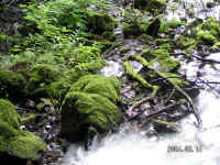 20040813PICT0223.jpg (233111 oCg)