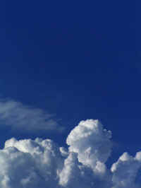 20040831PICT0012.jpg (30199 oCg)