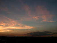 20040831PICT0021.jpg (81814 oCg)