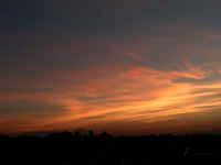 20040831PICT0023.jpg (80454 oCg)