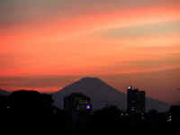 20040831PICT0033.jpg (82281 oCg)