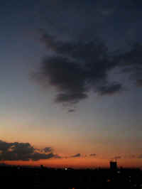 20040831PICT0038.jpg (38396 oCg)