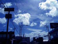 20040908PICT0038.jpg (134154 oCg)