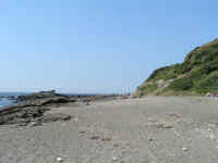 20040912PICT0023.jpg (125418 バイト)