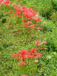 20040914PICT0006.jpg (240636 oCg)