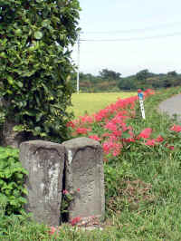 20040914PICT0014.jpg (160790 oCg)